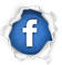 icon facebook